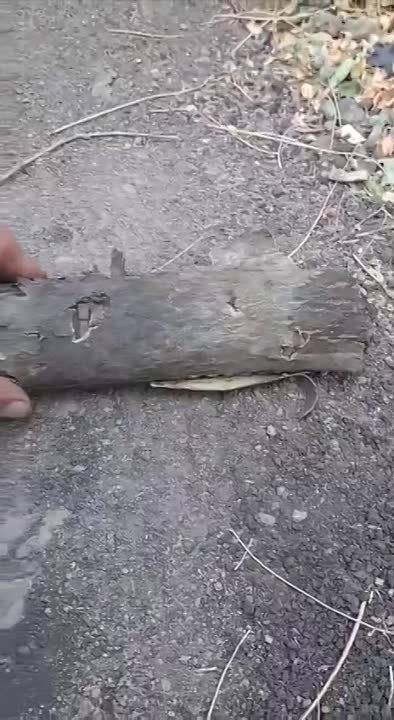 �������� ��� ����. ��������������� �� ������ ����