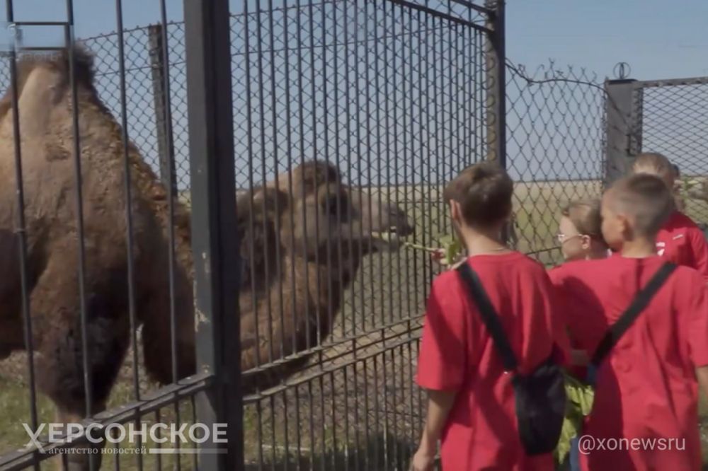 ��������-���� ������� �� ��� ������ ����� �������� ��������� �����