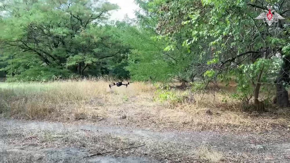 ������ � ������: ��������� ����������� ����� ������ �� ��������� ������ ����������