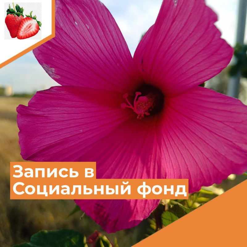 ��������� ������ �����������!