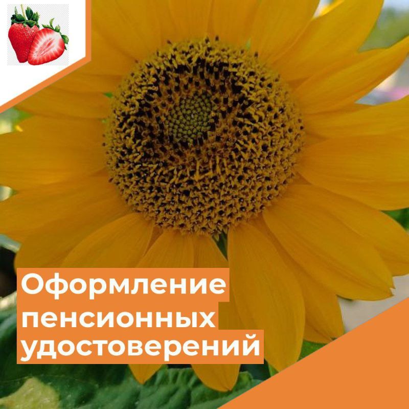 ��������� ���������� �����������!