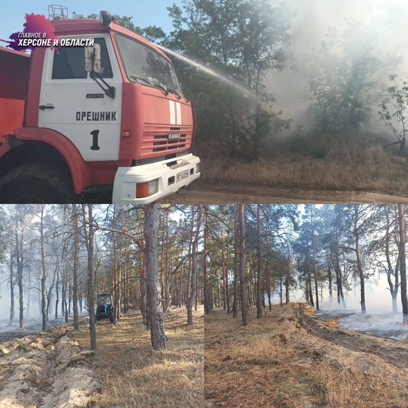 �� ���������� ���������������� ������� �� �������� ������ ������������� ��� ������