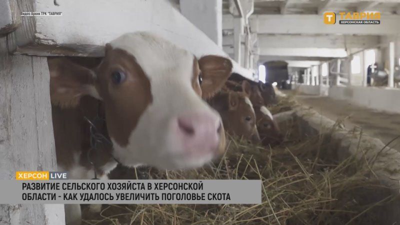 � ���������� ������� ������� ��������� ��������� ����� ��������� ������������, ������� ���� �����