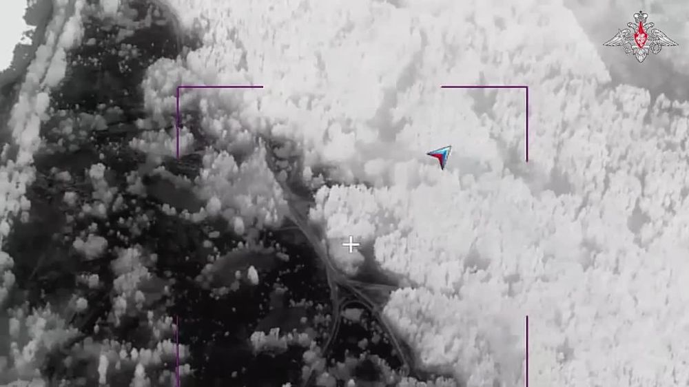 ����� ������� ����� ���������� �������� ������������ ��������� ���� � 30 �������� ��� ������ ���