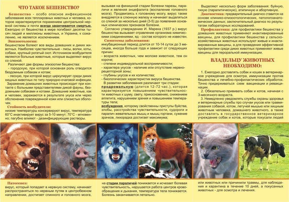 �������� ������� ����������� �������������� ������!