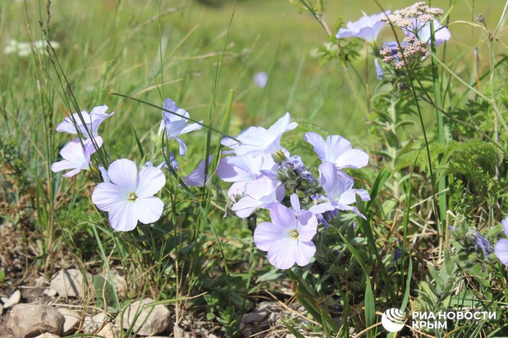 ������ �� ����� ����������� ������