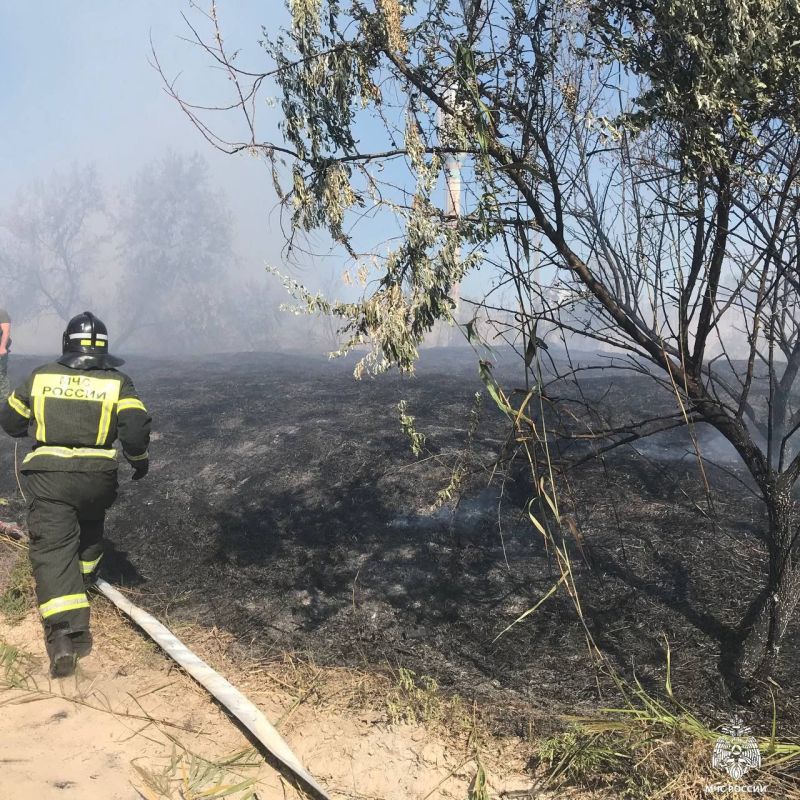 �� �������� ����� ��������� ��� ���������� ������� ������������� 11 ������, � ��� ����� ������ ������������ ���������