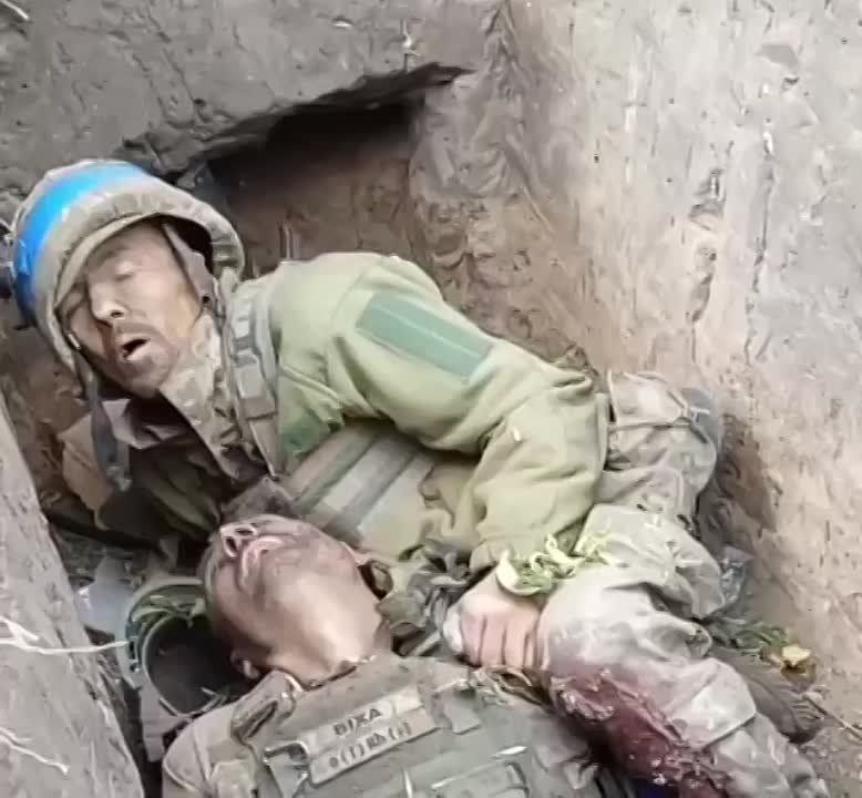 �� ��������� ���������� ���������� ����������� ���������� � ������, ���� �� �������� ������ ����� �� ���� �����������,� ���������