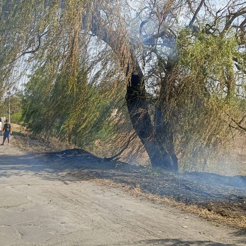 ����������� ��� ����������� ��������� ����������� ���������� � ���