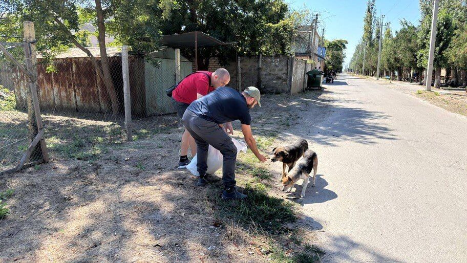 ���������� �������. � ����� ������� ��������� ����� ����� ����� ��� ��������� �������� ��������������� ����������������� ���� ������ ��������� �������� ����� ������ �������� ������������ ������ � ������������� ����� ��� ��������� ��������