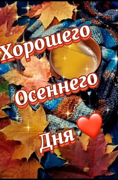 ����...3 ��������)