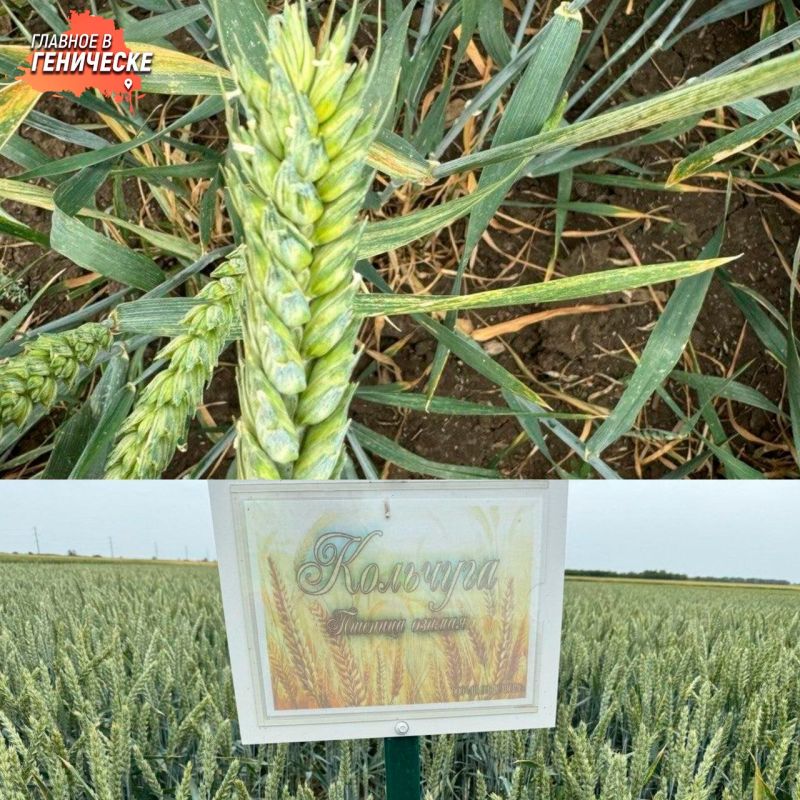 ������ ���������� �������� �������� ������� ����������� �� ����� ���������� �������