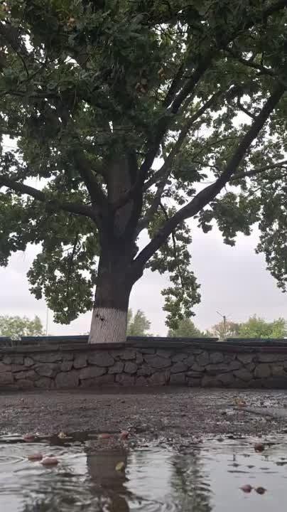 ����� ��� �����, ���-�� ������ ���������� �������� ���