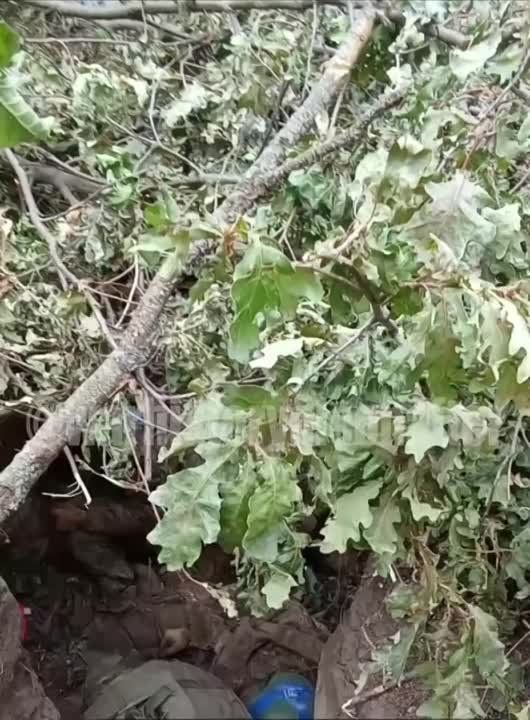 ������� �� ����. ��������-����� ���������� �������