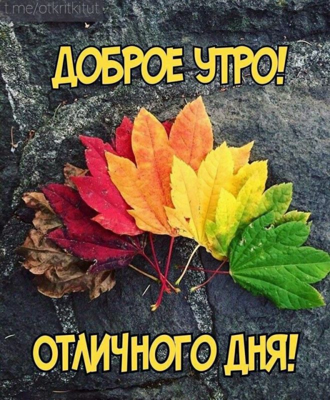 ��������� 4 ��������. ���� ����������� �� �������� �����������