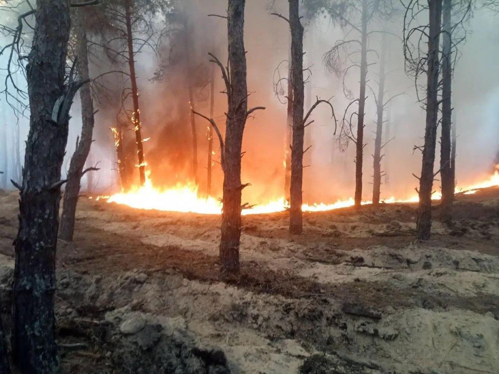 ���������� ��� �� ����������� ������������� ��������� ���������� ������ � ������� ��������