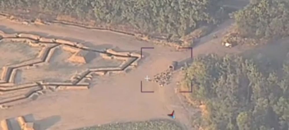 ���������� ������� �������� ������ ���������� ��������� ���������� ������� � ������� ������� � ������� �������