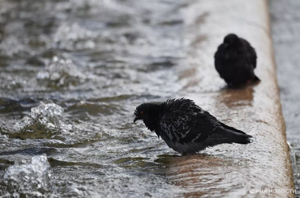 ������ �� ����� ����������� ������