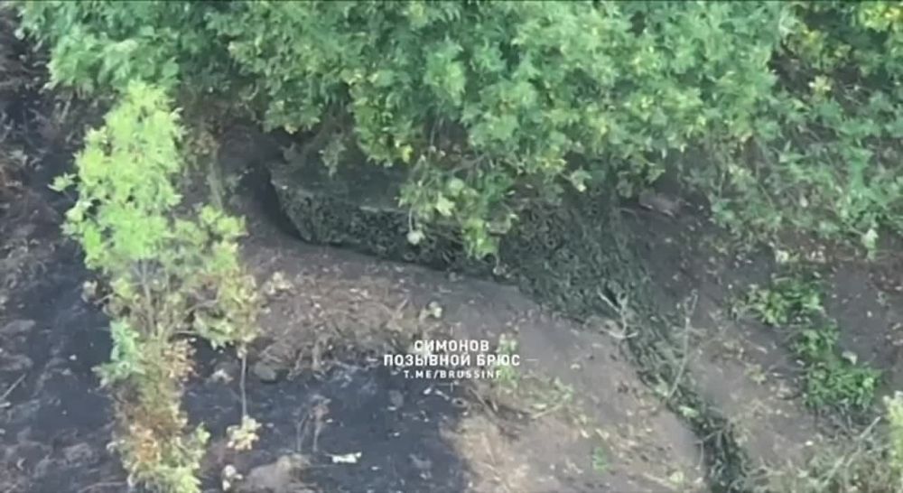 ������������� �����������