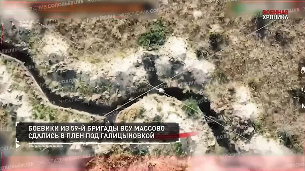 ����� �������� ��������� �� 3 ��������