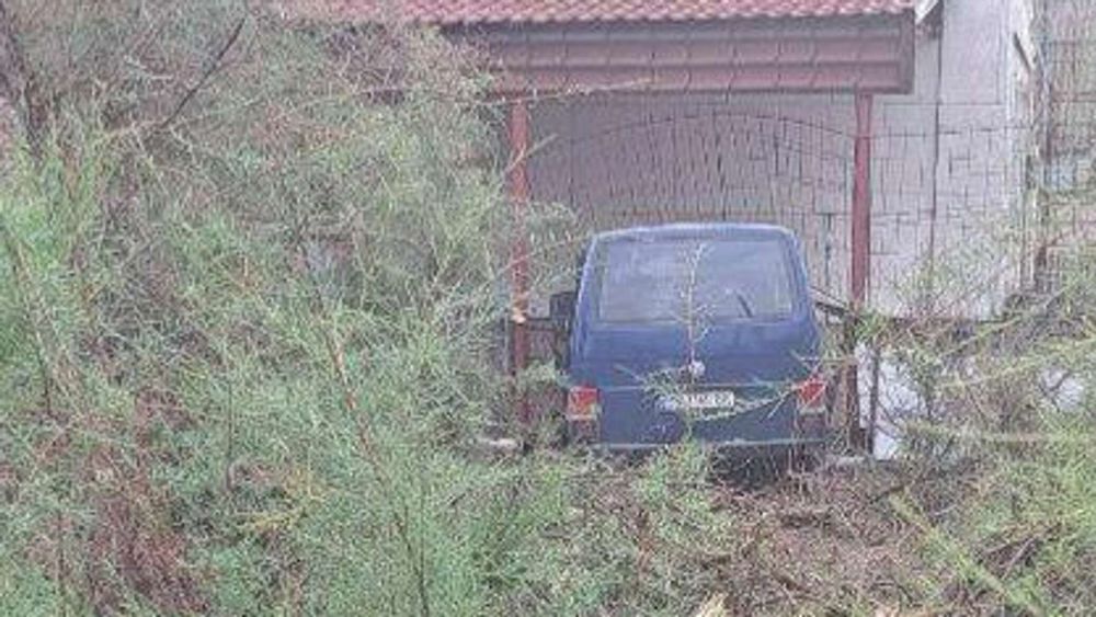 50-������ �������� �������� ����� � ����� ������� �� ��� �������� ���