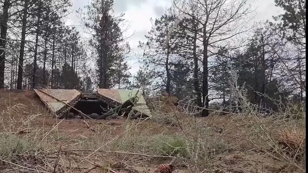 ���� �� �������: ������������-���������� �������� � ���������� ����� ���������� ������ �� ������������� ��� �� ������������ ������ � ���������� �������