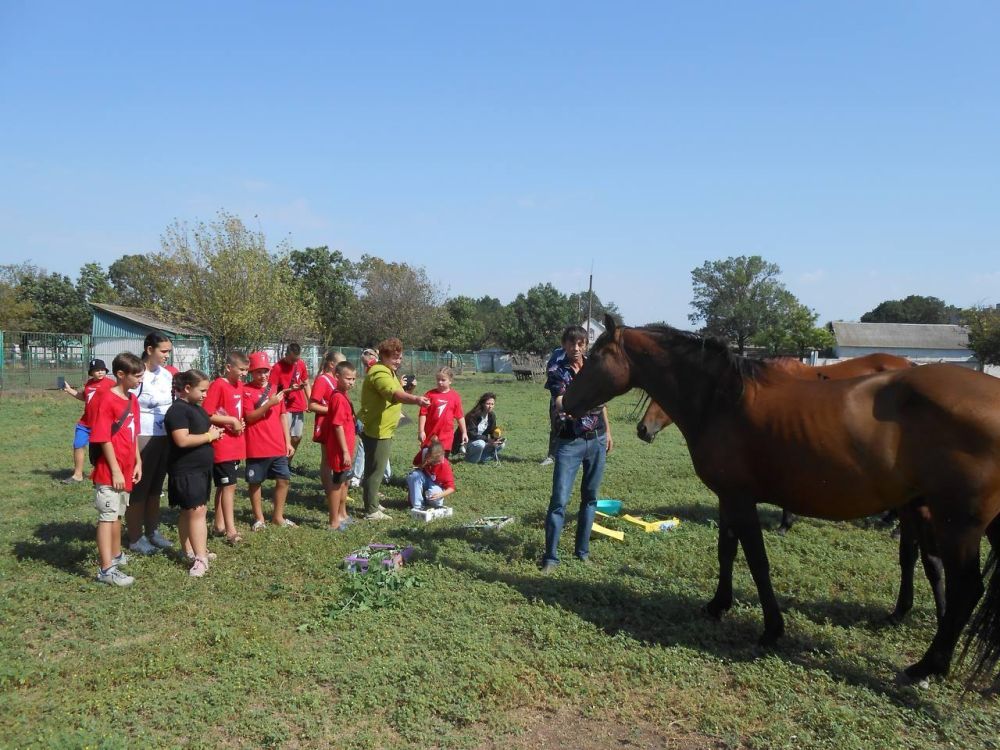 � �������-���� ������ �������� �� ��� ������