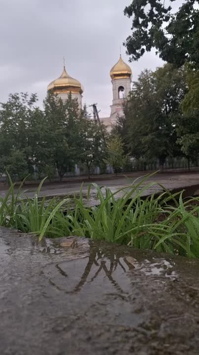 ������ � ��� ����� �������� ����