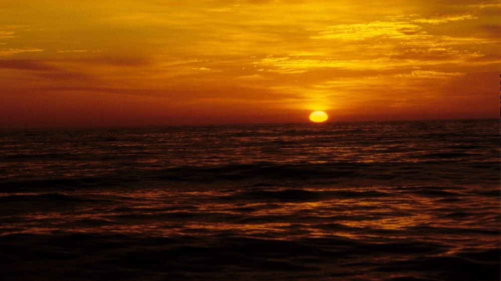 ������: � ������� ���������� ������� ������ ��� ��� ������������ ������