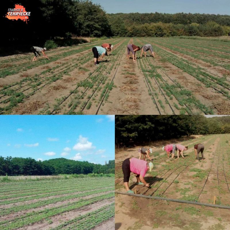 ��������������� ����������� ������ ����� � �������������� ������ �������� ���������� ������� � ���������� ���������� ������� ������ �����