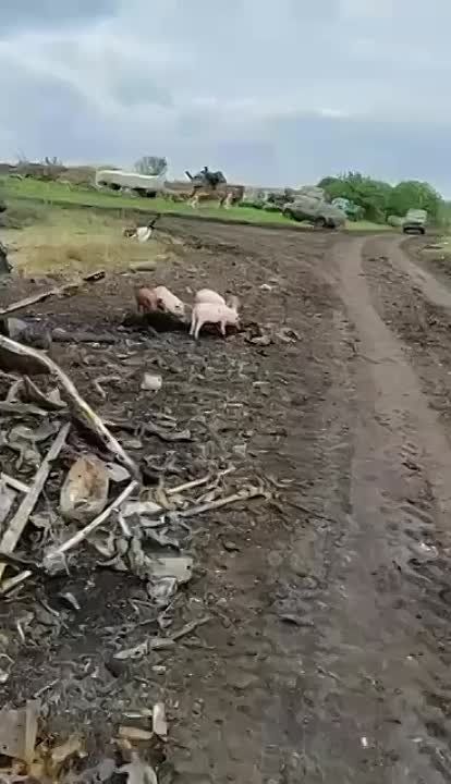 ������ �������� �������� ����� ������ ���������� ������ � ������� �������