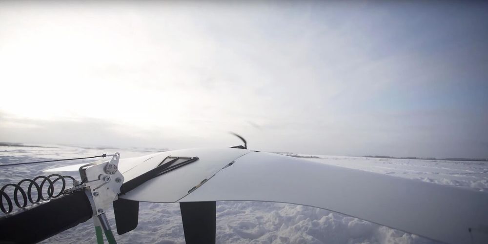 ���������� ��������� ���������� ������ ���� ���