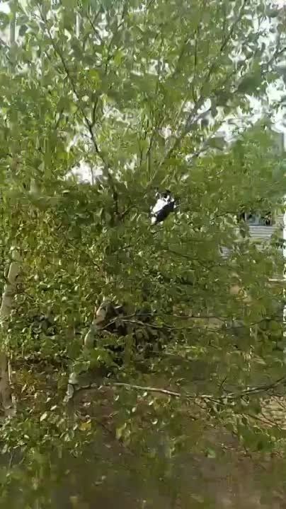 � ������������� ��������������� ������ ��������� ����� ������ ��� �� ������ �������������