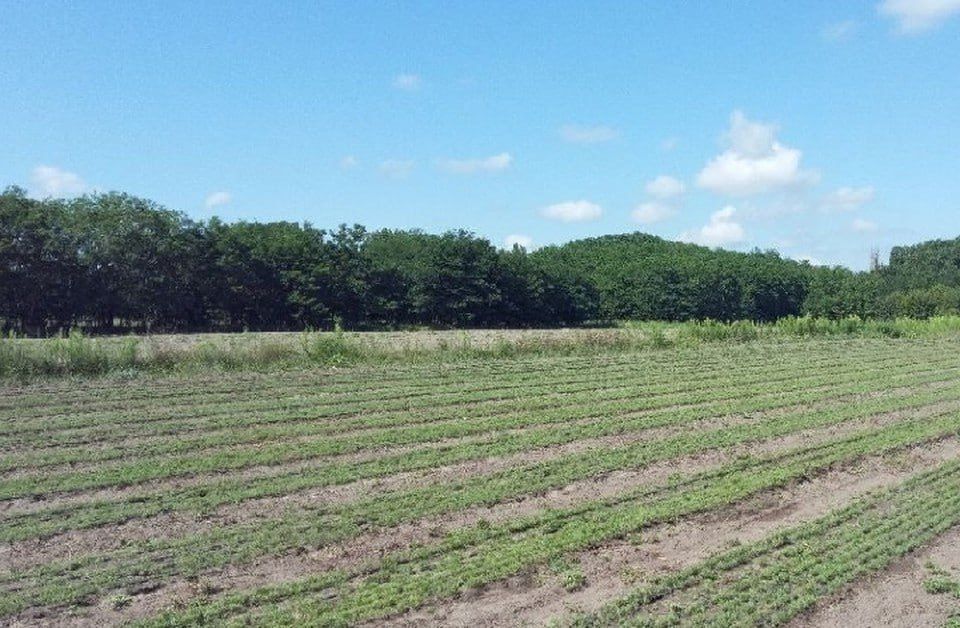 � ��������������� ����������� ���������� ������� ������ �������� �����