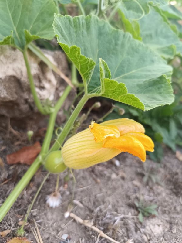 � ������ �����, �����������!