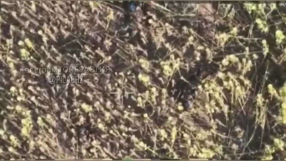 ����� �� ����������� �������� �� ������� �������, �� ��� ���� �������� ������� � �����