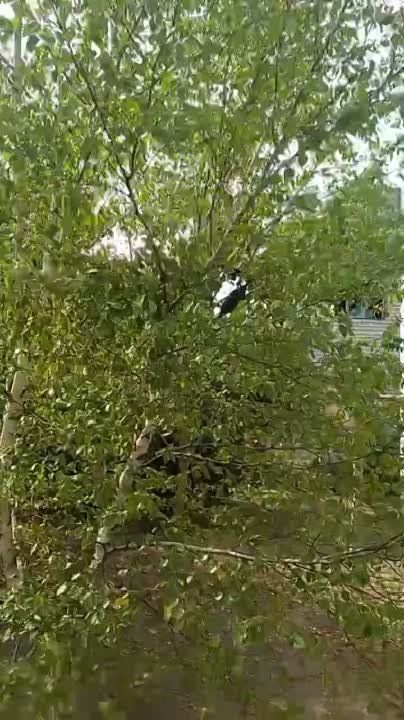 ����� ��������: ������ ���. ������. ������������� ��������������� �����. ����� ���������� �� ������ �������������