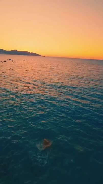 ���� �������� ������!