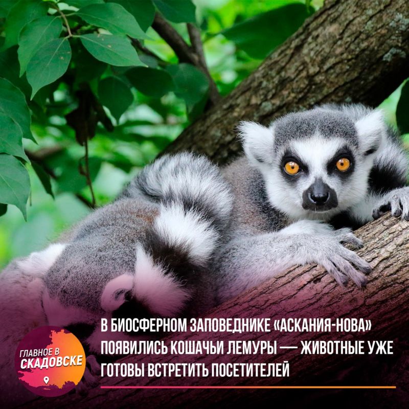 � ���������� ����������� ��������-���� ��������� ������� ������ � �������� ��� ������ ��������� �����������