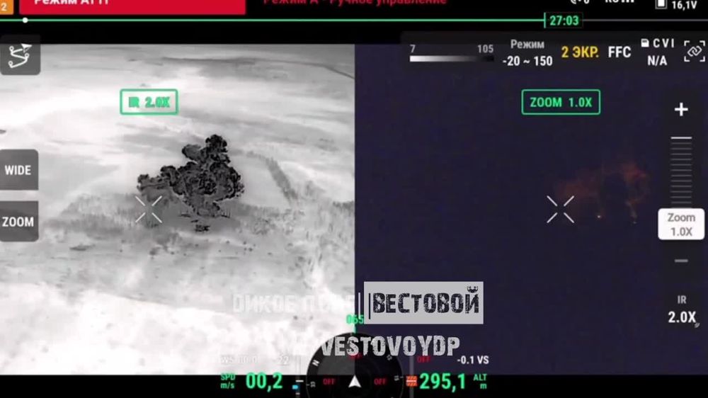 3 ����� "�����" ����������� ����� ������� �������� ������ �������� ����� �� ��������� �����������