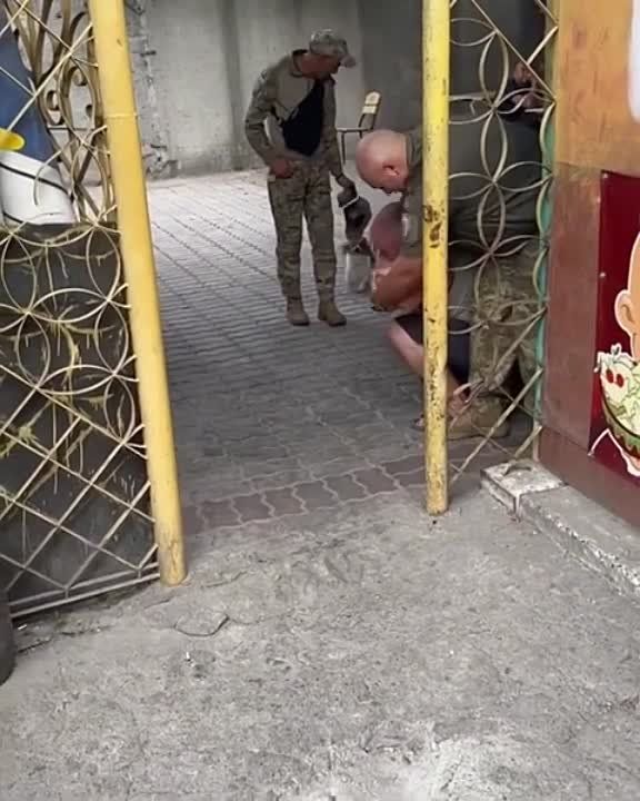 ����� �������. ���������� ����������� ������ ��� � �������. ��� �� ���������, �� ���������� ������ ���� ��������-������ � ������� ������ �����, ������ �������� ������ �� ��������� ��������� ������� � �����