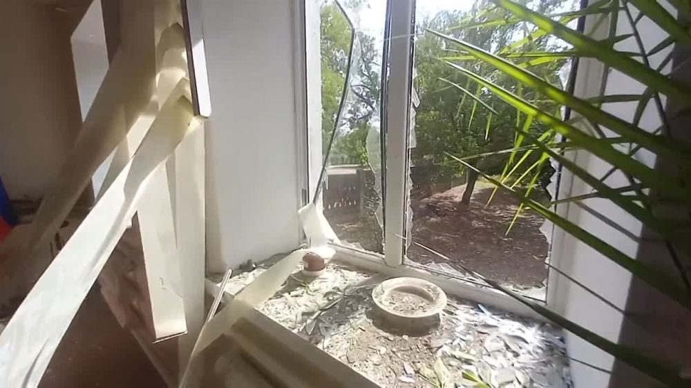 ����������� ������������ �������� ���������� ����������� ���������