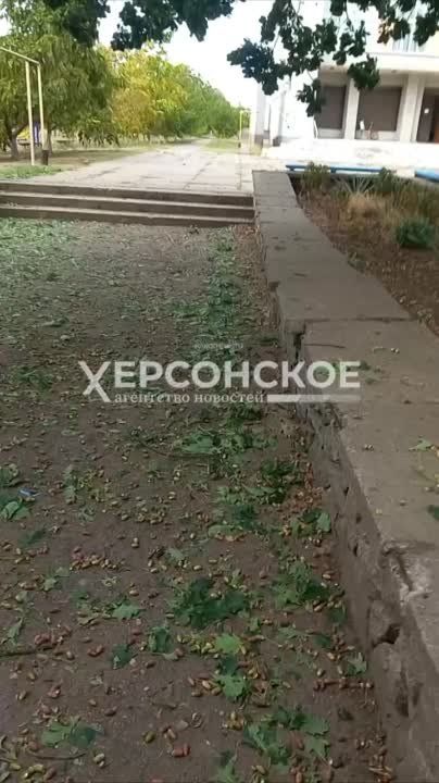 12 �������� ������� ��������� ������������� ����������� �� ����� ������ �������