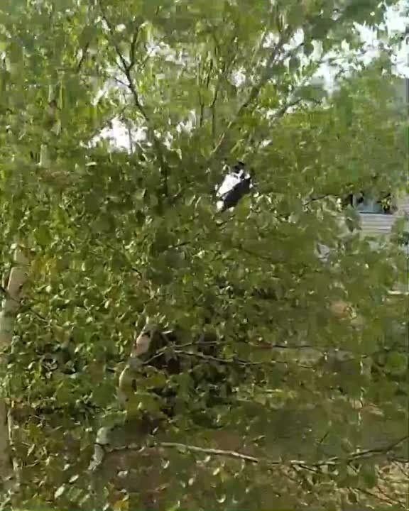 ������� ���� � ������������ ���������� � ��������� ����� ��������� ������ ������������� �������������