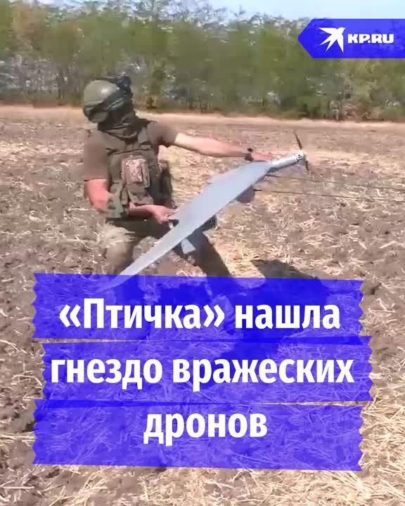 ��������� ������ ����� ������� ���������� ������ �� ������ ������ ������