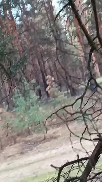 ��� ������: ���������� �����������, ��� �����: