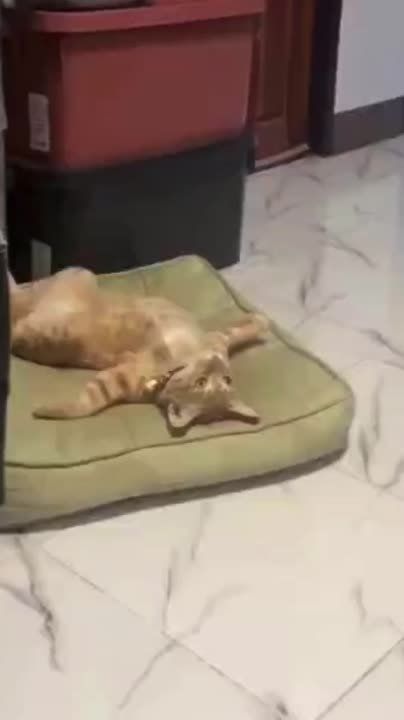 #������� #������������