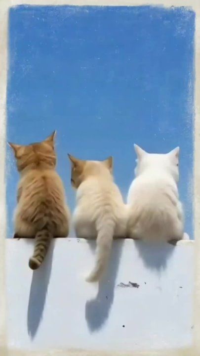 � ������ �����, �����������!