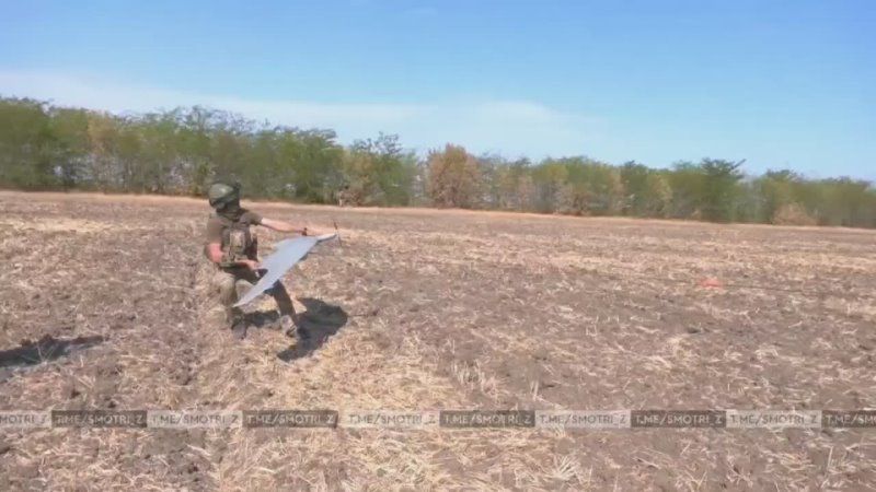 ������ ������������ ������������ �������� ����������� ����� ������ ������ � ��������� ������ ���� ���������� �� ��������� �����������