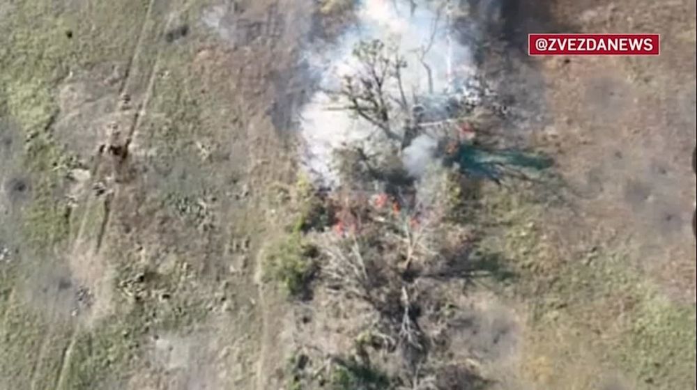 ������ ���� "����" ������� ����� � ���� ���